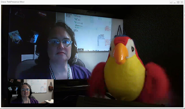 Photograph of video conference with Copybird